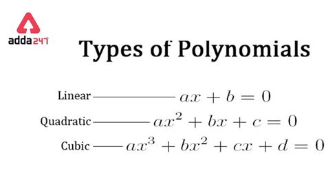 Polynomial: Definition, Types, Degree, Equation and Solved Examples .